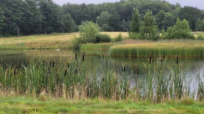 Oplev naturen omkring Roskilde med Dansk Vandrelaug
