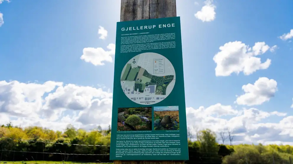 Herning Kommune og Naturfondens nye projekt for at styrke biodiversitet og rekreative muligheder