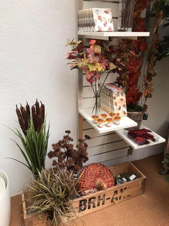 Hold trit med lokalområdet: Nyt fra Skive