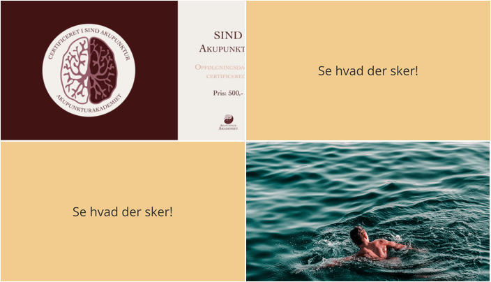 Aktiviteter i Hovedgård denne weekend: Lærende workshops og inkluderende svømmetilbud