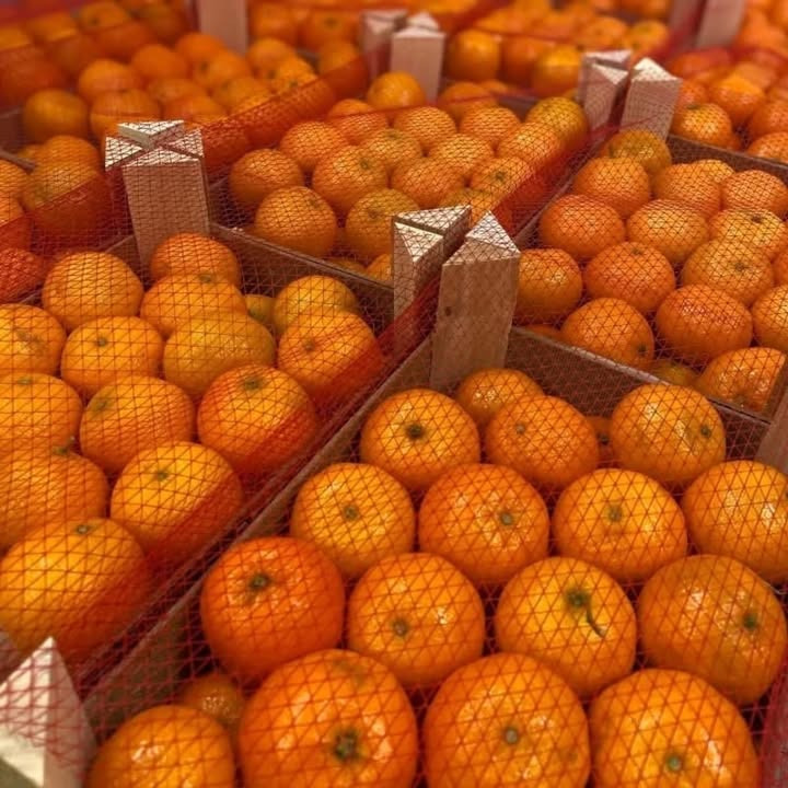 Spar Nørrebro Hjørring tilbyder saftige klementiner til kun 28 kroner pr. kasse