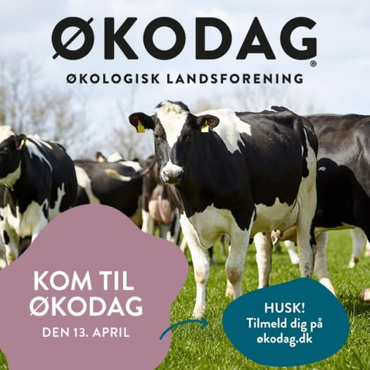 Rema 1000 Valbygårdsvej inviterer til økodag на распрашивание