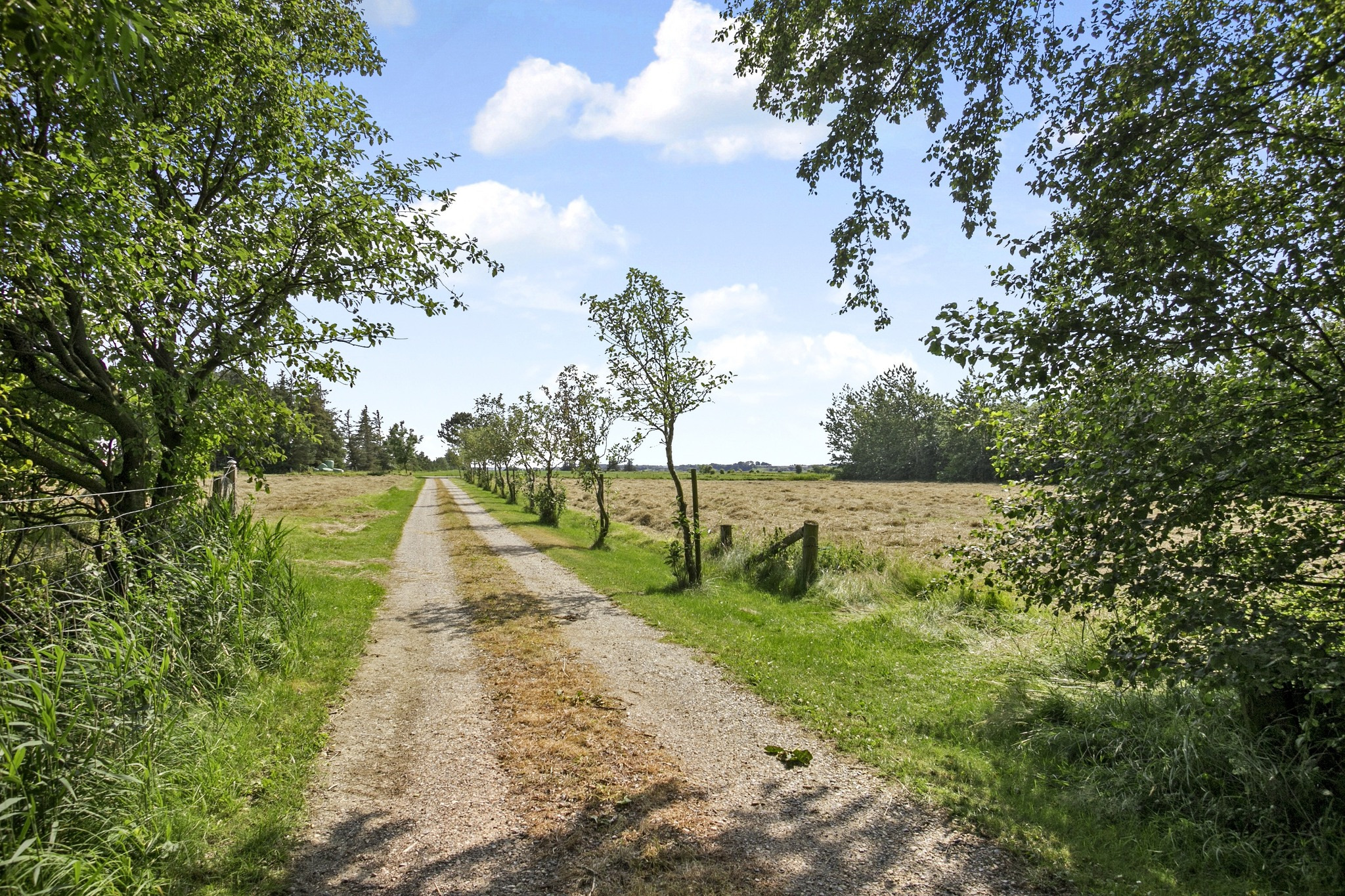 EDC Fjerritslev præsenterer naturperle ved Vejlerne: Drømmebolig for naturelskere til salg