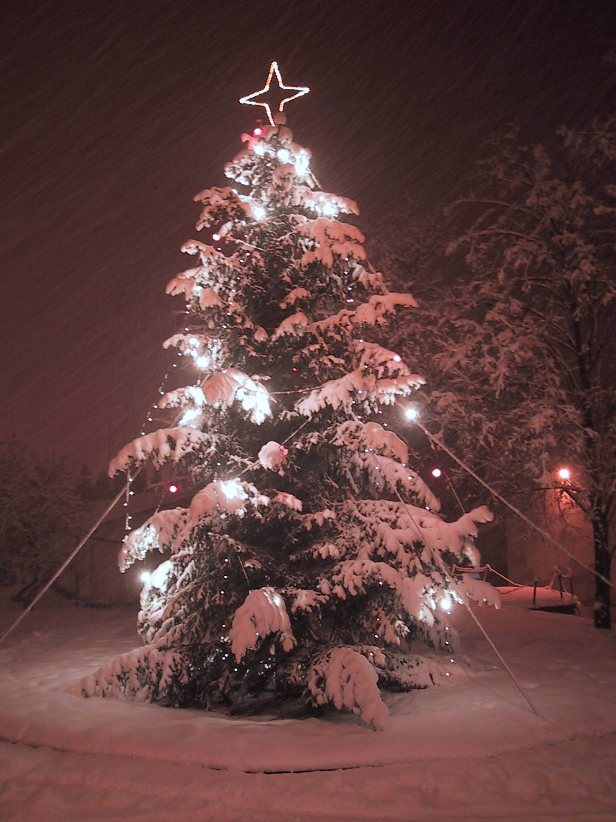 Hyggelig juleaften i Folkehuset Vejlby