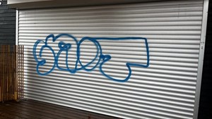 opslagsbillede