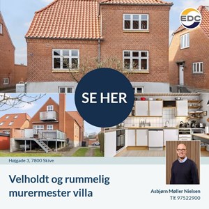 Opslagsbillede