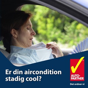 opslagsbillede
