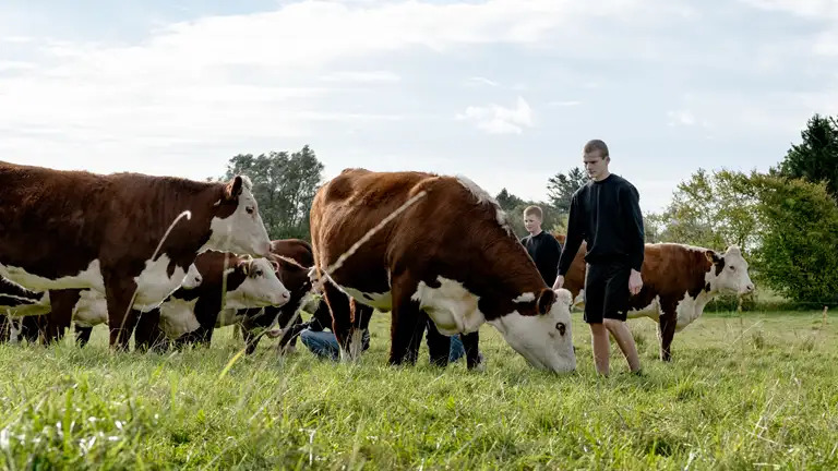 Ny mesterlærelinje i Thy kombinerer skolegang med praktik for unge elever