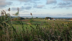 Odsherred Kommune indgår ambitiøst klimapartnerskab med landboforeninger for at reducere landbrugets CO2-udledning
