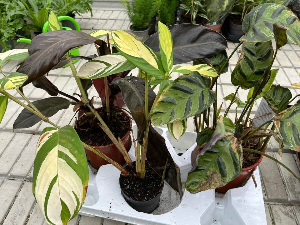 Opslagstavlen: Nyeste opdateringer fra Odder