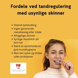 Opslagsbillede