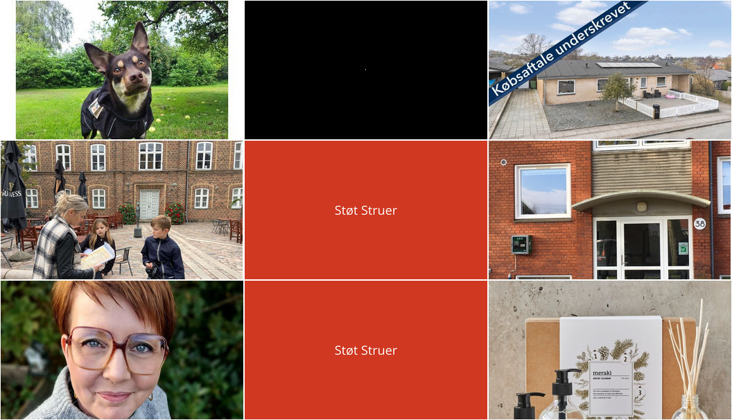 Nyt fra CAMILLAS DYRECENTER, Holstebro Museum, NordVestBO og 4 andre