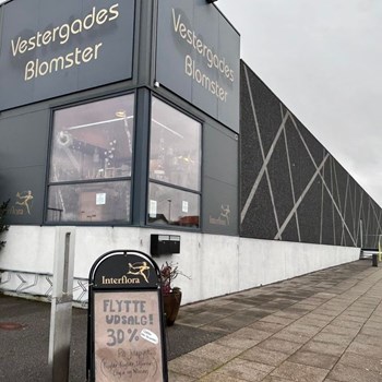 Opslagsbillede