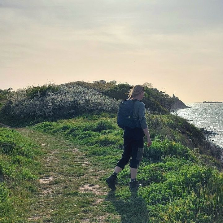 Det nyeste på Hammels opslagstavle