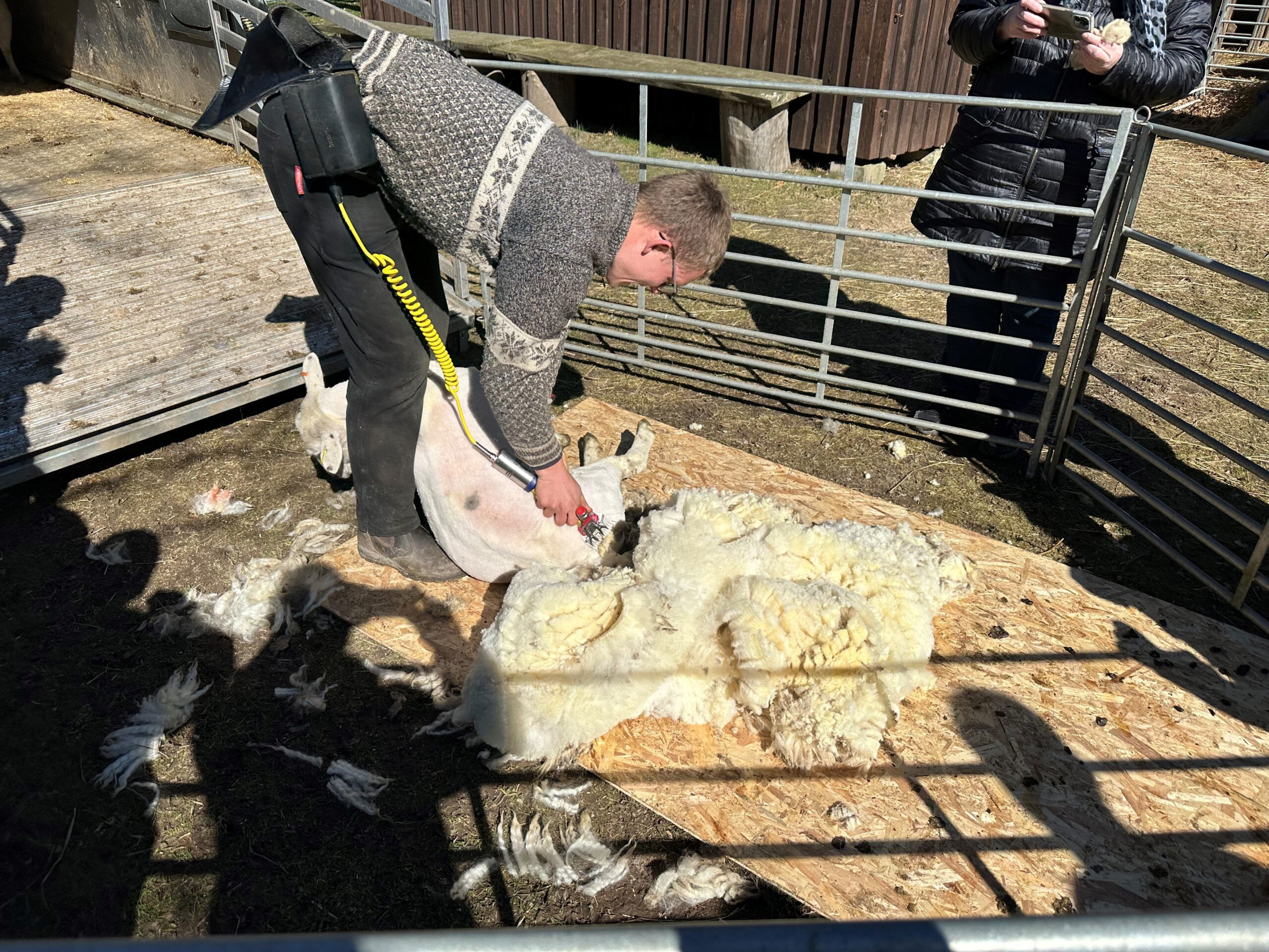 Forårslørdag på Landskabs- og Landbrugsmuseet i Mosbjerg