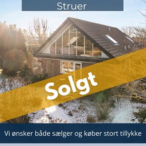 Opslagsbillede