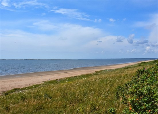 Hjerting Strandvej 103 og 9 andre boliger er kommet til salg denne uge i Esbjerg - se boligerne her.