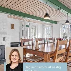 Opslagsbillede