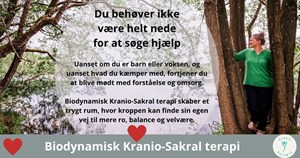 opslagsbillede