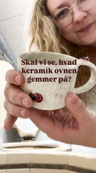 Opslagsbillede
