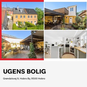 opslagsbillede