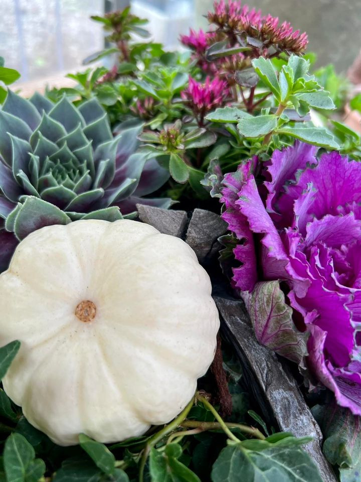 Opslagstavlen: Nyeste opdateringer fra Sæby