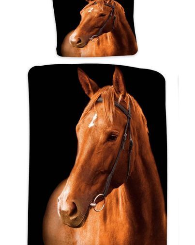 Seneste nyt: tophistorier på sociale medier i Viborg