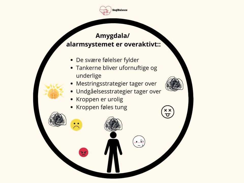 Ung i Balance: Hvordan unge kan finde ro og balance i et overaktivt alarmsystem