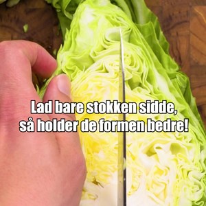 Opslagsbillede