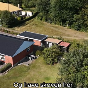 Opslagsbillede