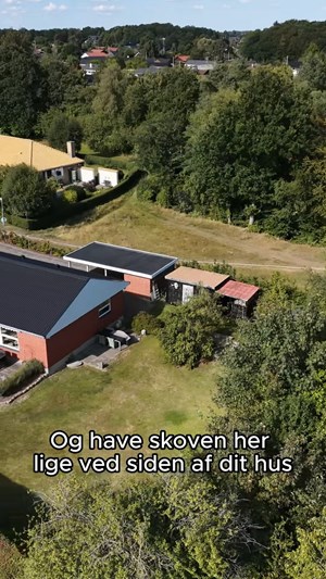opslagsbillede