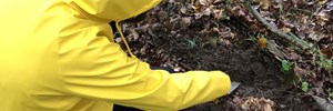Syv folkeskoler i Vejle får millioner til udendørs naturfagsundervisning og nye læringsrum
