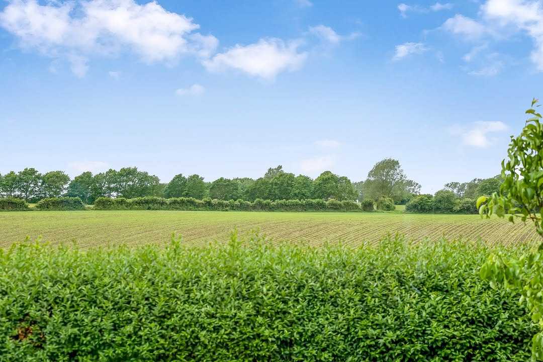 RealMæglerne Middelfart præsenterer ny etplansvilla på lukket vænge
