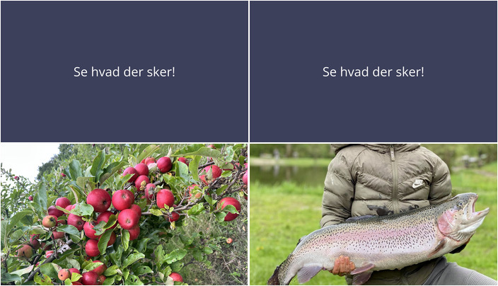 Få en smag af det gamle landliv og deltag i børnevenlig fiskedag i Højby den kommende uge