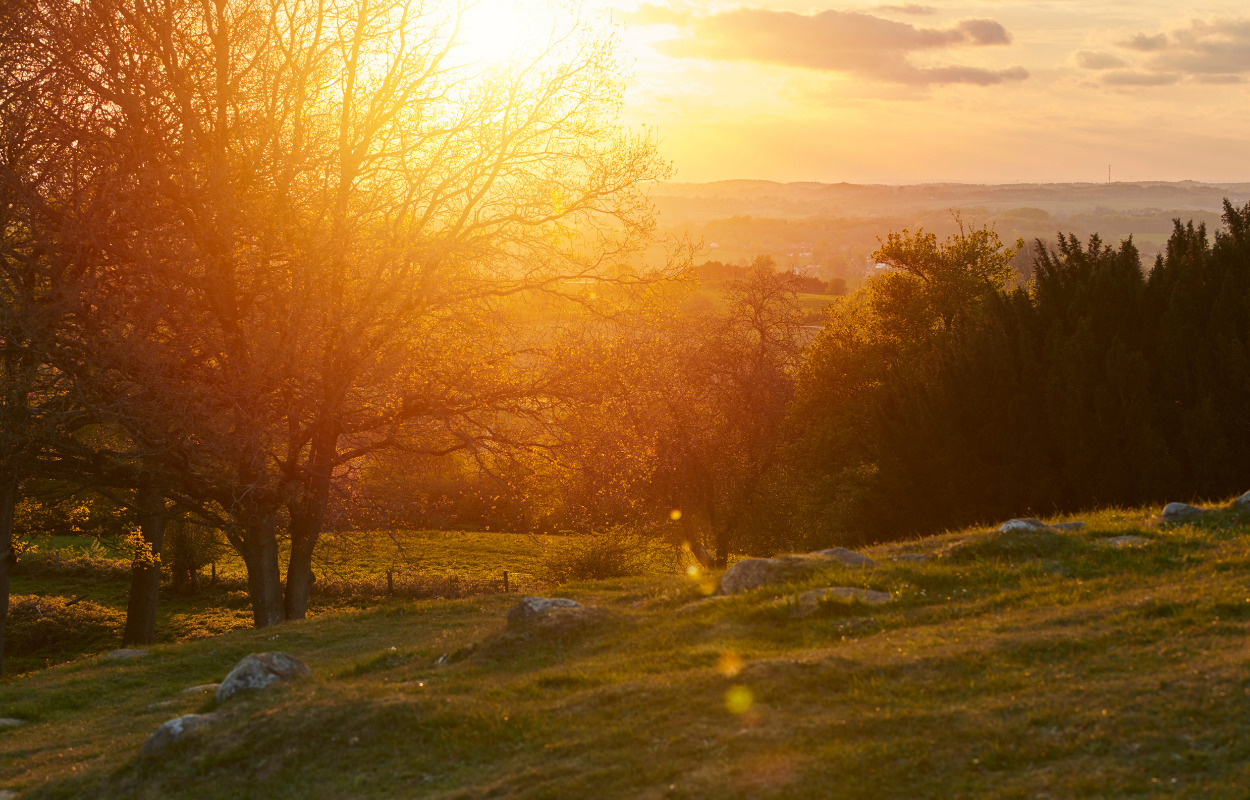Er Køge landets vildeste kommune? 