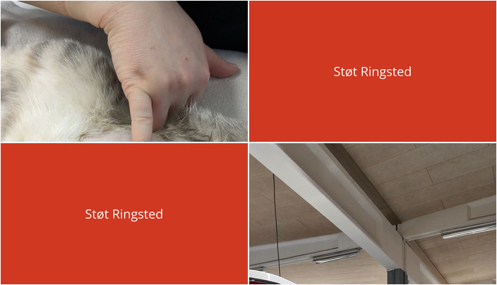 Nyt fra Slagelse Camping og Outdoor Center og Vet til dig