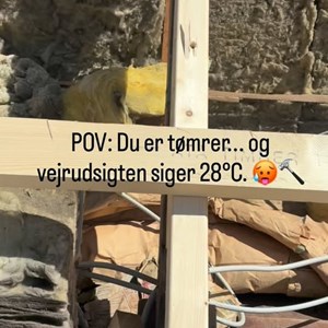 Opslagsbillede
