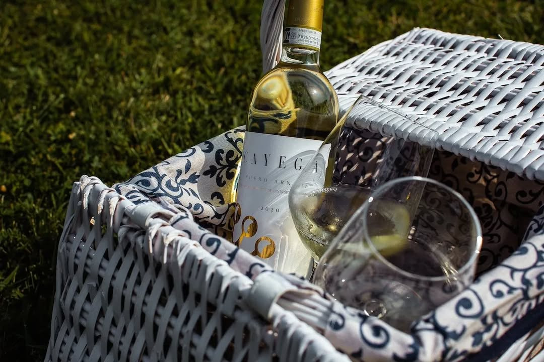 Oplev Cayega Roero Arneis hos Lahvino Wine & Spirits