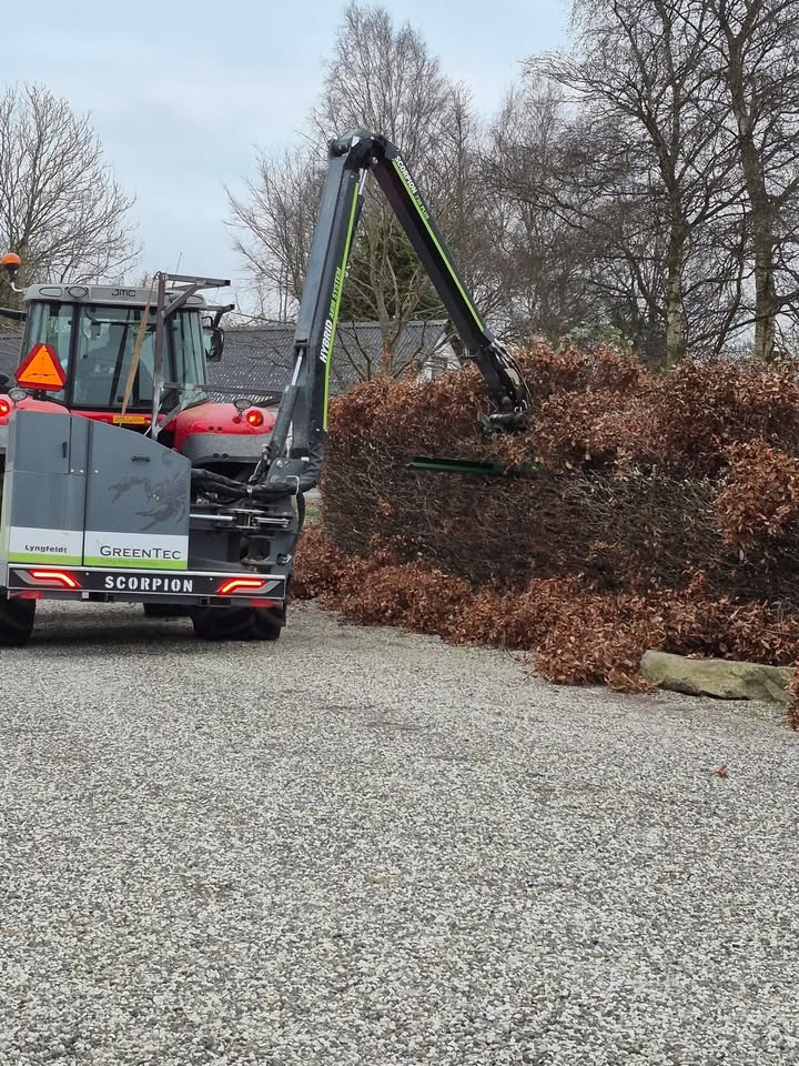 Asmild Plantecenter ApS opfordrer til vinterpleje af hækken for ny vækst