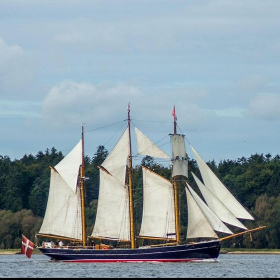 Sejltur for kræftpatienter på Aarhus Havn