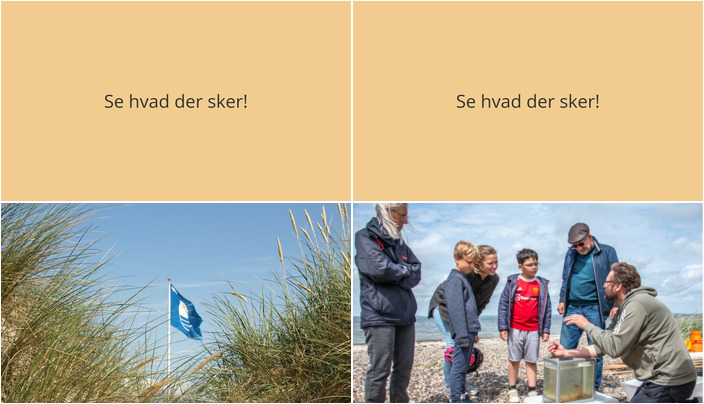 Udforsk fjordens liv og historie i Højslev
