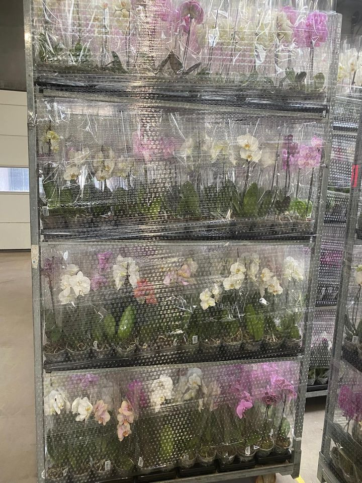 En finger på pulsen i Horsens