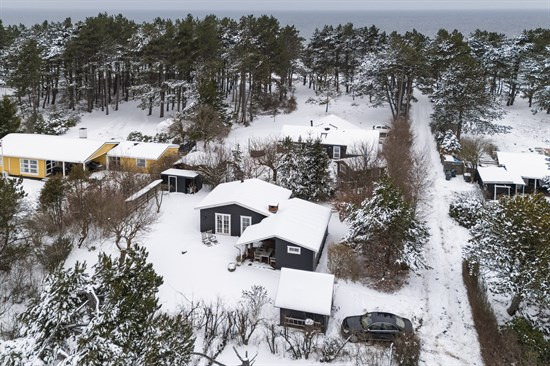 Hvidtjørnevej 4 og 3 andre boliger er kommet til salg denne uge i Nykøbing Sj - se boligerne her.