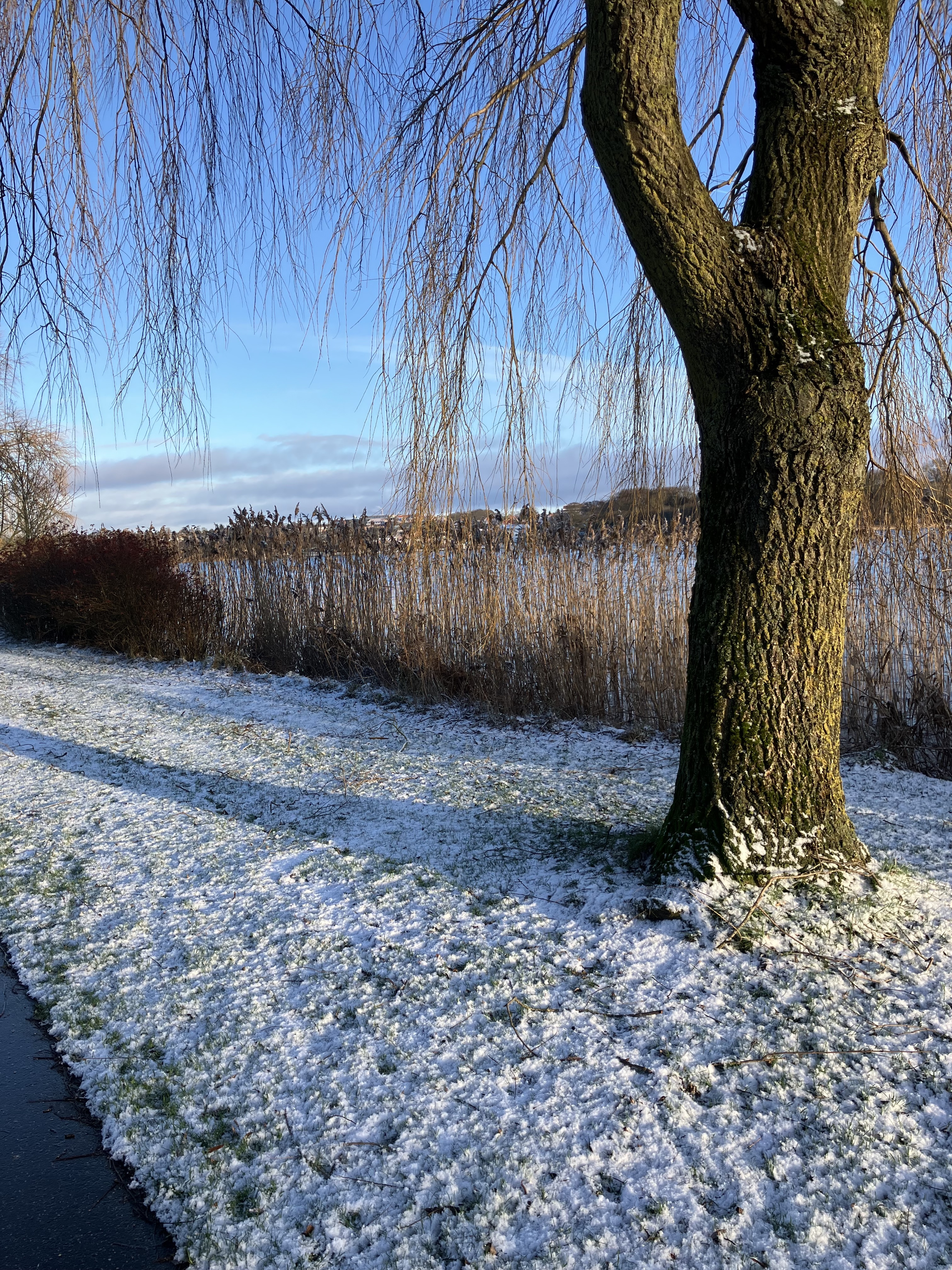 Gåtur ved Vintmølle Sø med Gå-gruppen Viborg