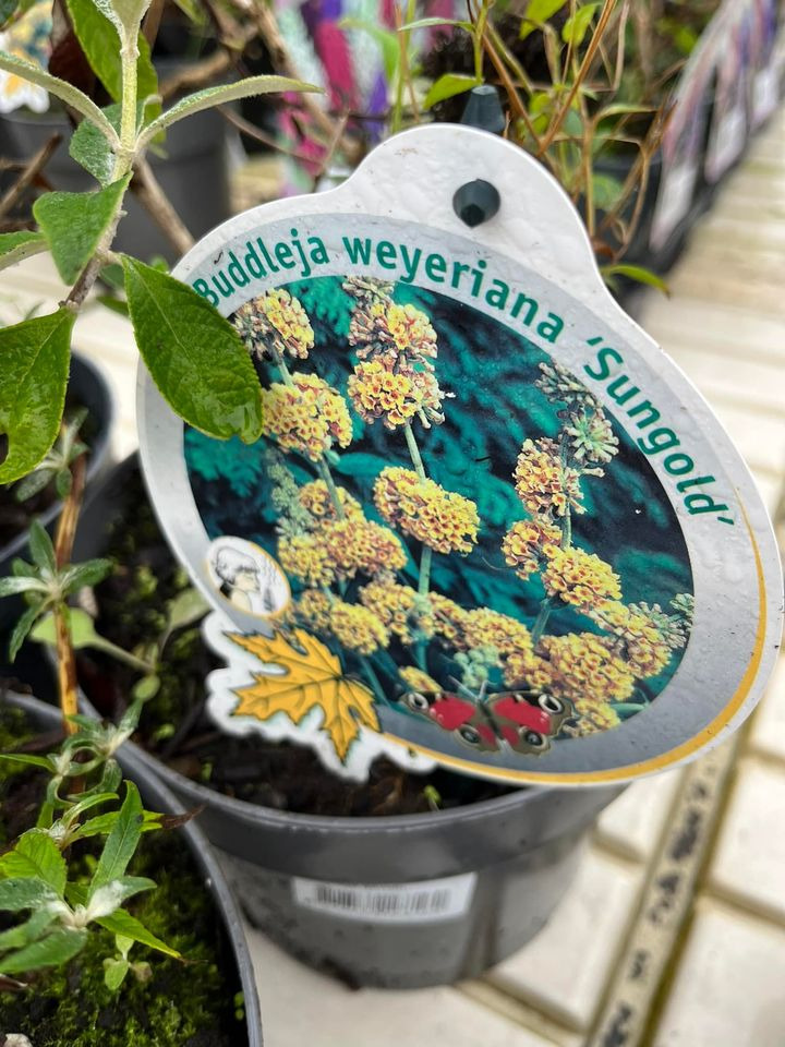 Opdatér dig her: Det nyeste fra Horsens