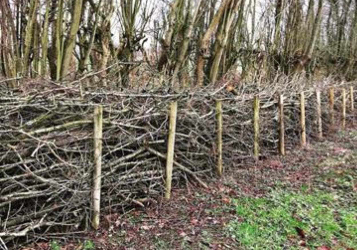 Kør på genbrugspladsen og få grøn inspiration til haven på Klimahandledagen