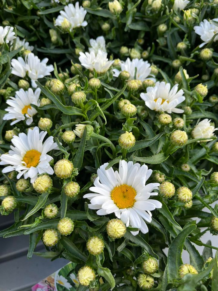 Det nyeste på Odders opslagstavle