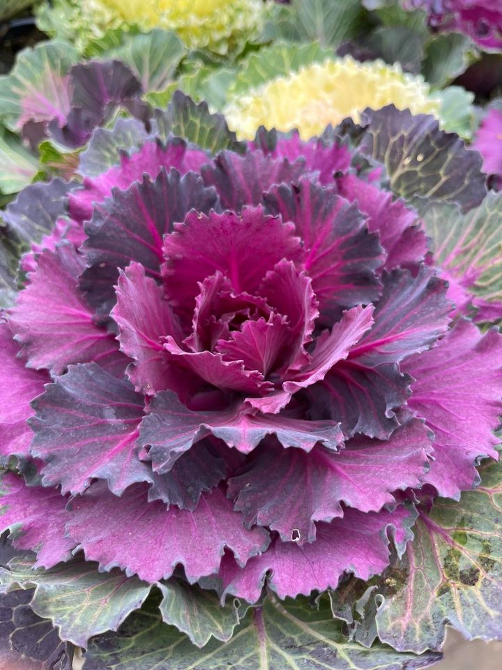 Opdatér dig her: Det nyeste fra Odder