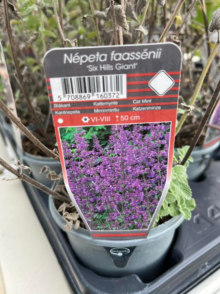 Det nyeste på Odders opslagstavle