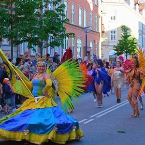 Opslagsbillede